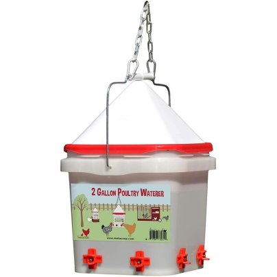 The Best Chicken Waterer Option: RentACoop 2 Gallon Chicken Waterer