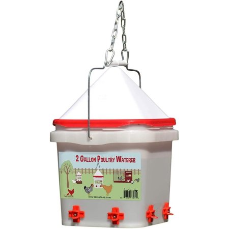  The Best Chicken Waterer Option: RentACoop 2 Gallon Chicken Waterer