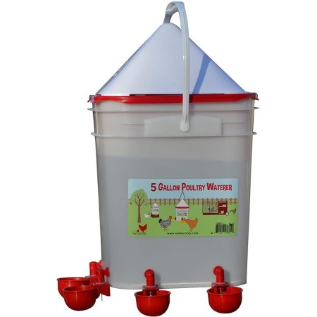  The Best Chicken Waterer Option: RentACoop 5 Gallon Water Cup Chicken Waterer