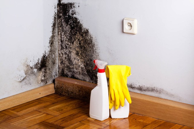 Dark colored mold grows in the corner of a wall with some cleaning product bottles and yellow gloves seen in the foreground.