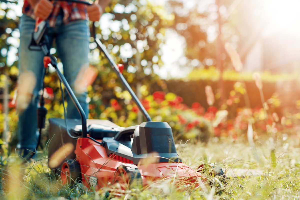 5 Good Reasons Not to Mow the Lawn This Weekend