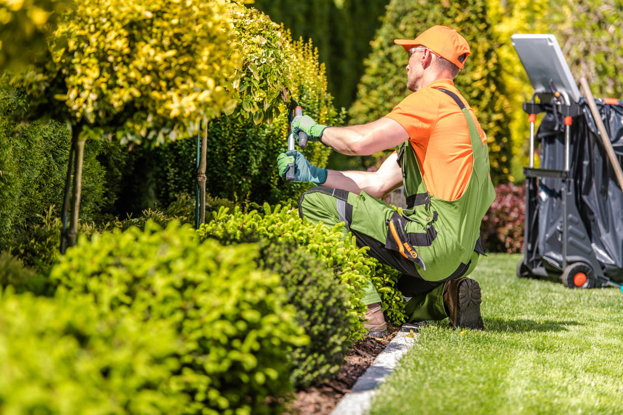 How Much Does Landscaping Cost