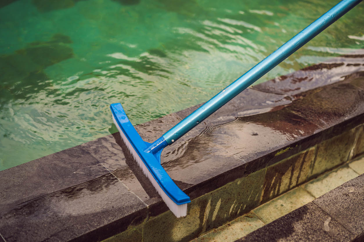 A pool brush cleans the side of a pool to remove sediment, algae, and other debris.