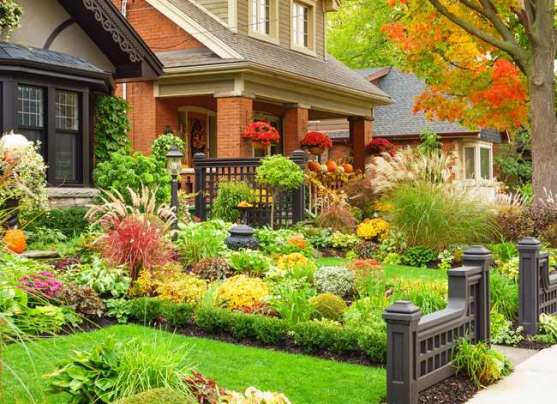 10 Fall Flowers That Are Hardy In Cold Weather - Bob Vila