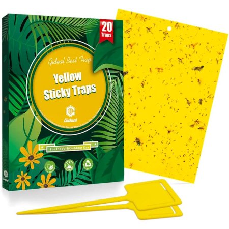  The Best Gnat Trap Option: Gideal 12-Pack Dual-Sided Yellow Sticky Traps