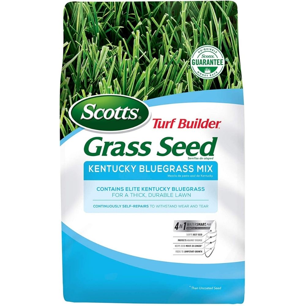 The Best Kentucky Bluegrass Seeds for a Beautiful Lush Lawn Bob