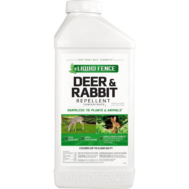 The 10 Best Rabbit Repellents For Gardens in 2024