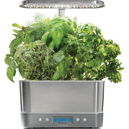  The Best Buy Prime Day Option: AeroGarden Harvest Elite