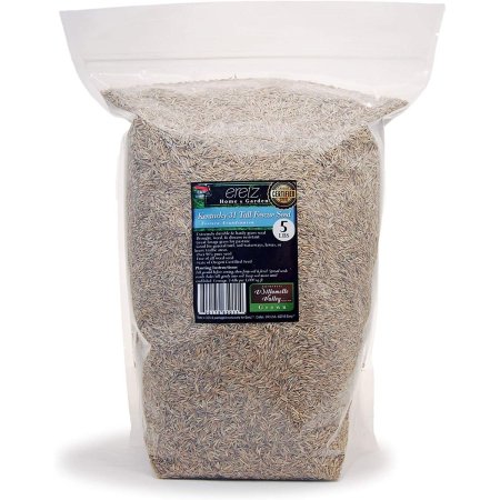  The Best Tall Fescue Grass Seed Option: Kentucky 31 K31 Tall Fescue Grass Seed by Eretz