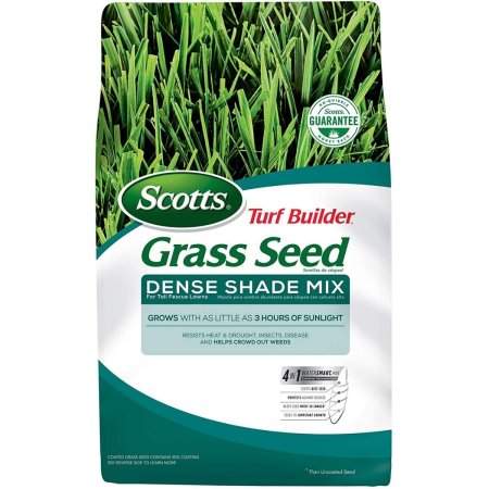  The Best Tall Fescue Grass Seed Option: Scotts Turf Builder Grass Seed Dense Shade Mix