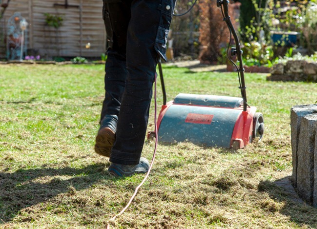 Person pushing a dethatcher in their lawn.