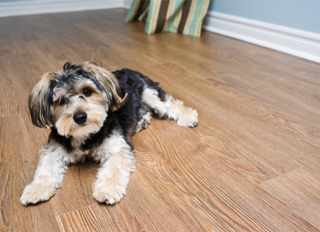 engineered hardwood vs laminate