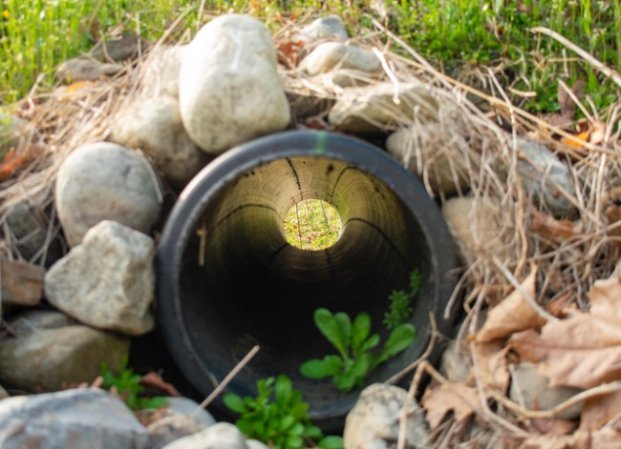 french drain cleaning