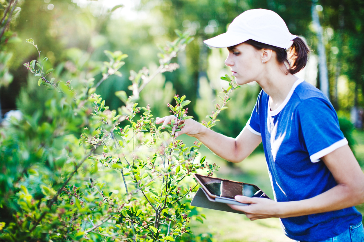 Young woman with digital tablet working in orchard