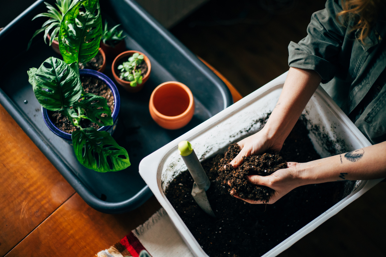 The Dos and Don'ts of DIY Potting Soil