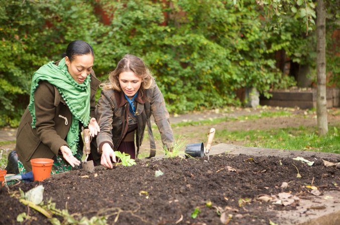 Two female gardeners working in an urban vegetable garden