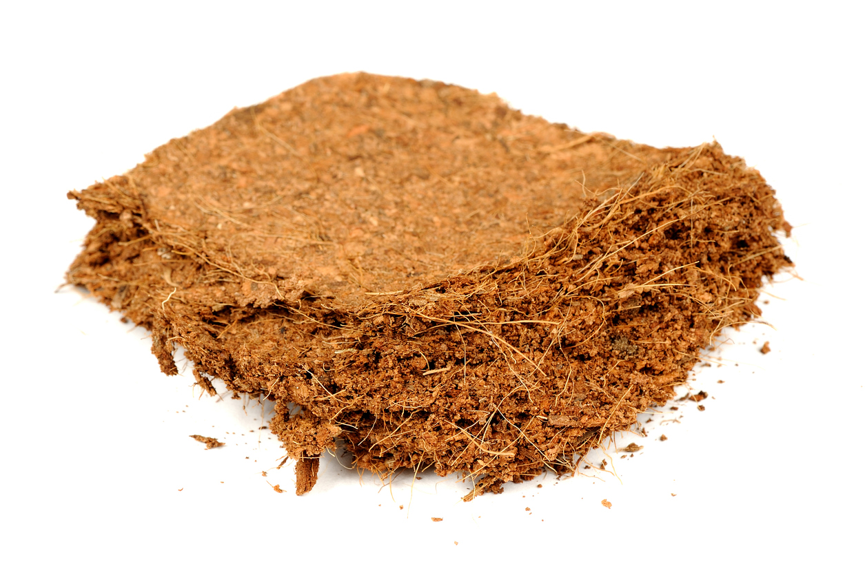 A piece of coconut coir brick (used as a growing medium or soil amendment) isolated on a white background