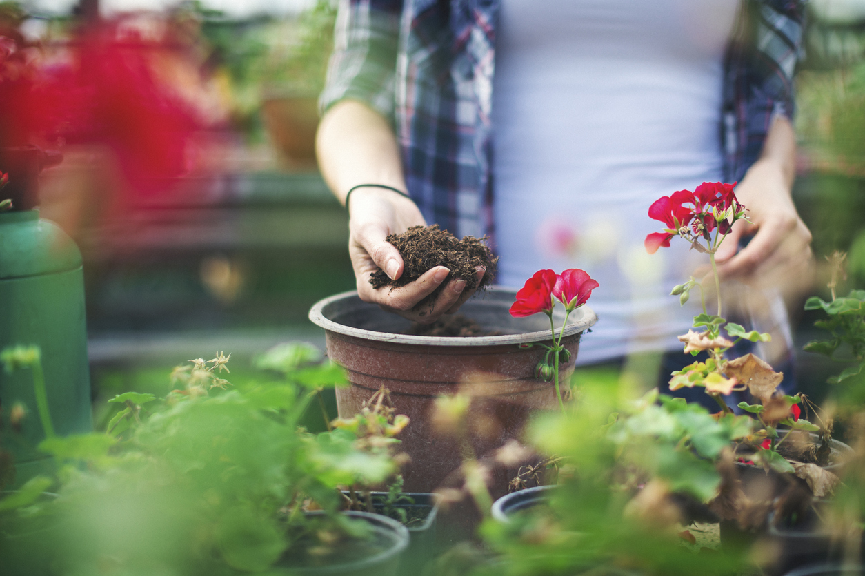 Young couple in greenhouse working with flowers. Shallow DOF. Developed from RAW; retouched with special care and attention; Small amount of grain added for best final impression. 16 bit Adobe RGB color profile.