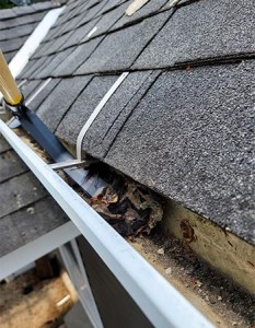 Clean Your Gutters a Cinch with the Gutter Cleaning Tool (Tested ...