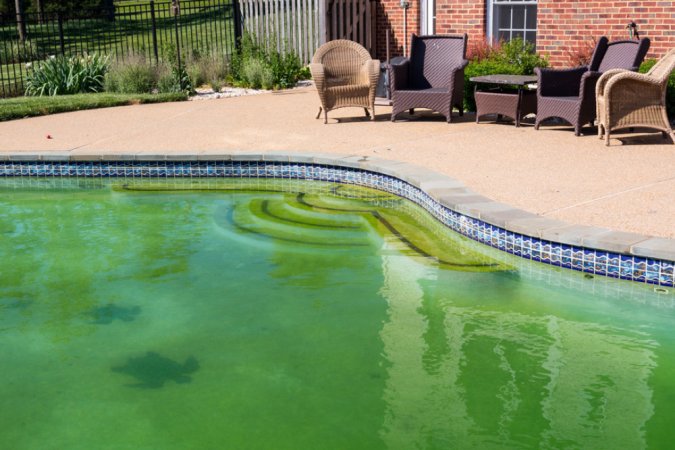 A backyard pool filled with green water.