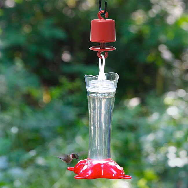 how to keep ants out of hummingbird feeder