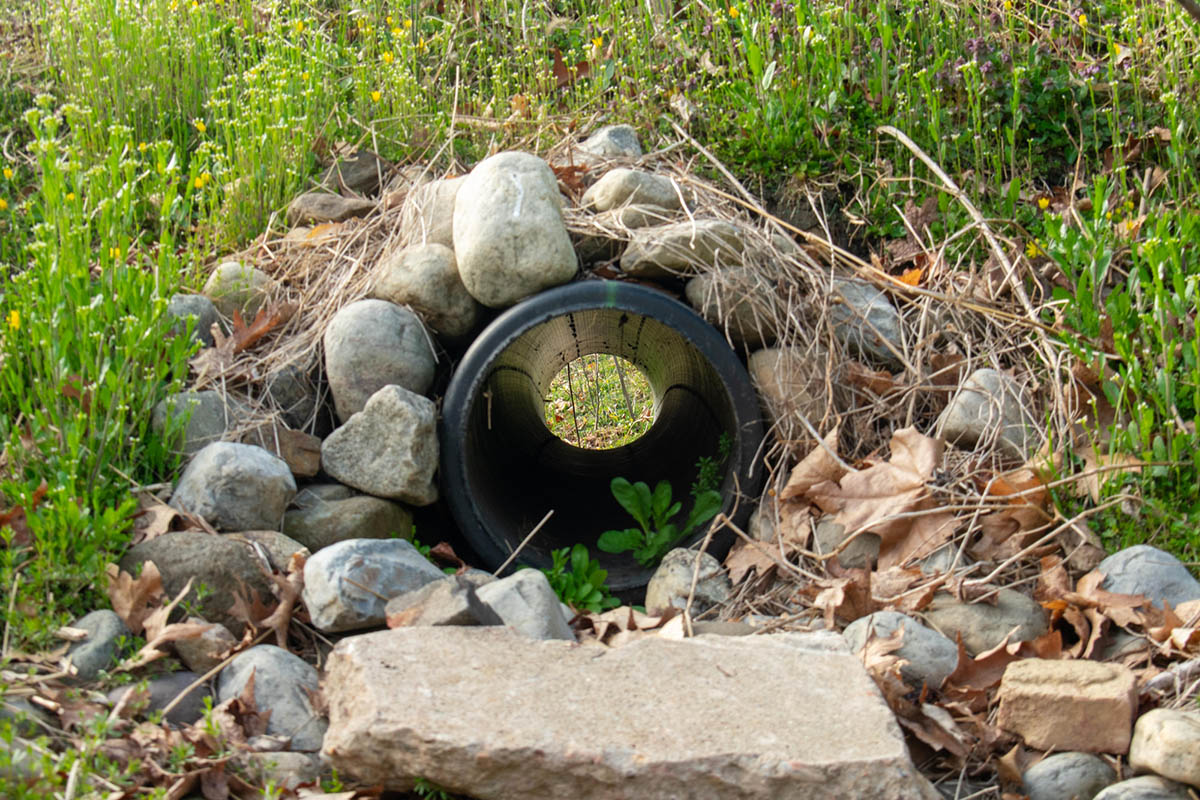 A French drain in a grassy yard.