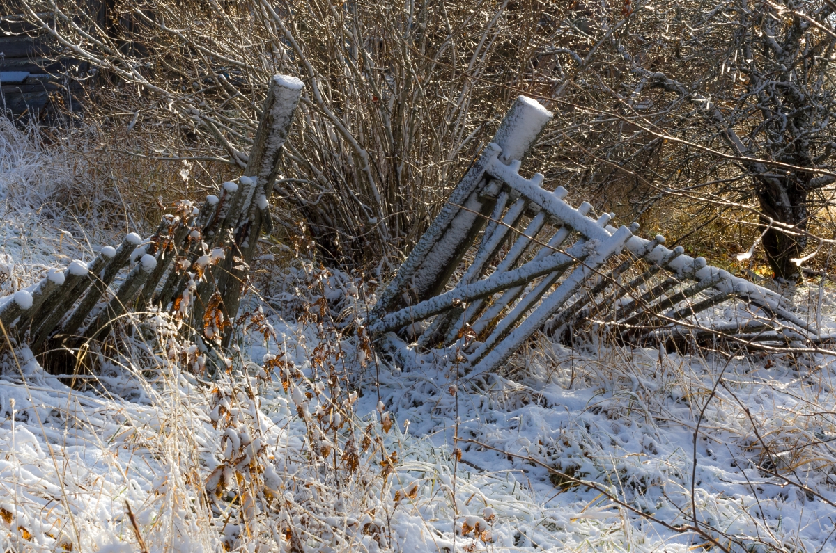 A broken fence and gate from winter snowy weather.