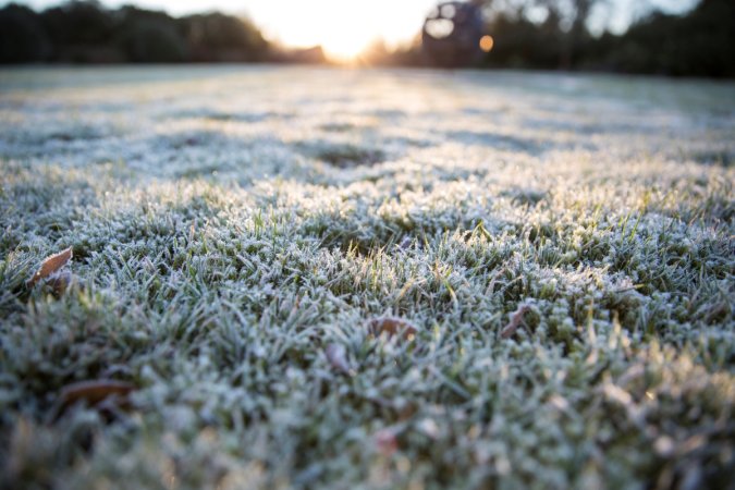 A view of frost on green lawn.