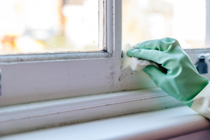 A hand with a green rubber glove washes a window sill with mold using a paper towel.