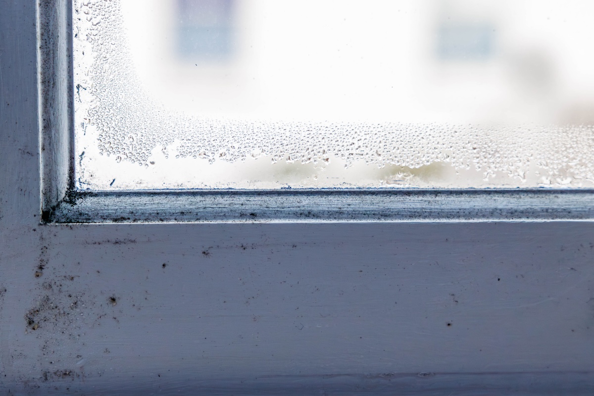 Condensation drops on a widow with growing mold.