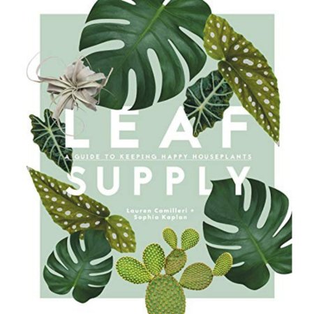  The Best Gifts for Plant Lovers Option: Leaf Supply: A Guide to Keeping Happy House Plants