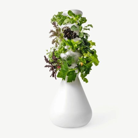  The Best Gifts for Plant Lovers Option: The Farmstand