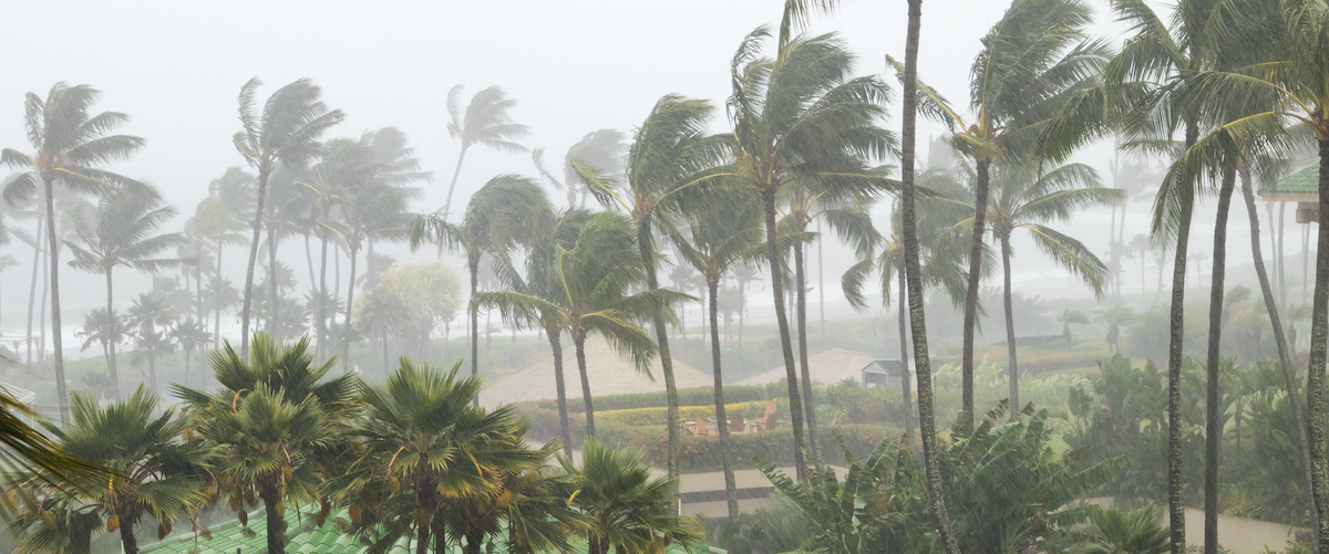 when is hurricane season wind