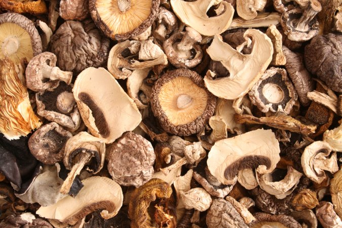 how to dry mushrooms