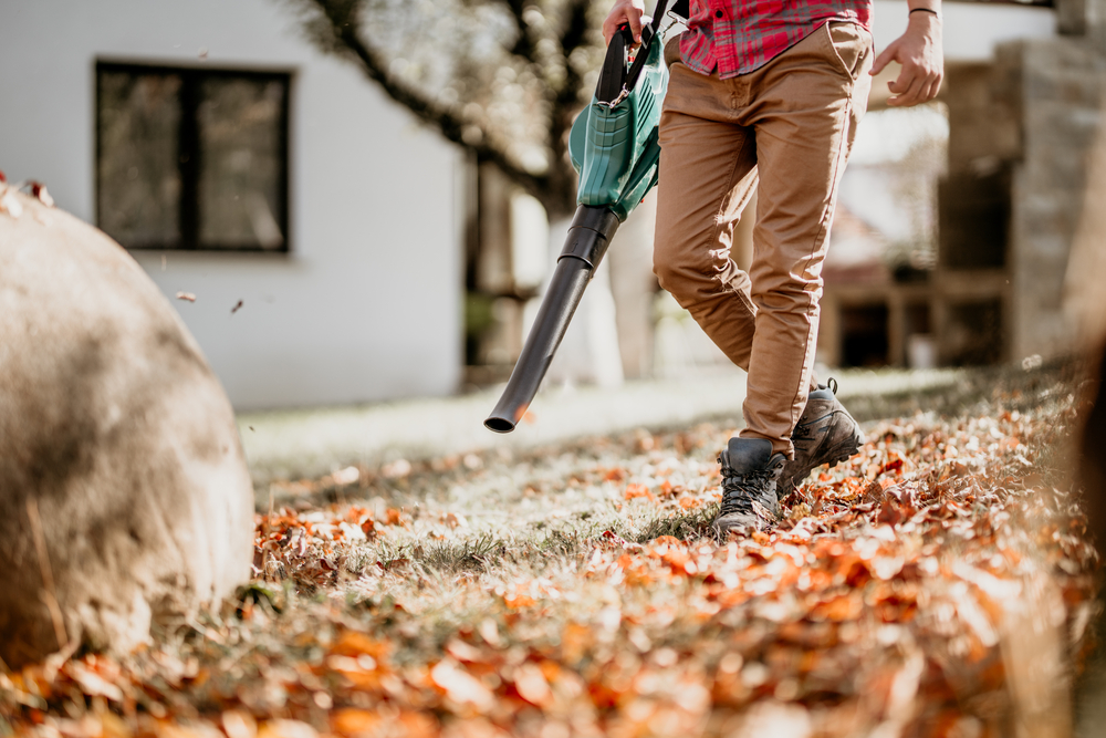 leaf blower won't start