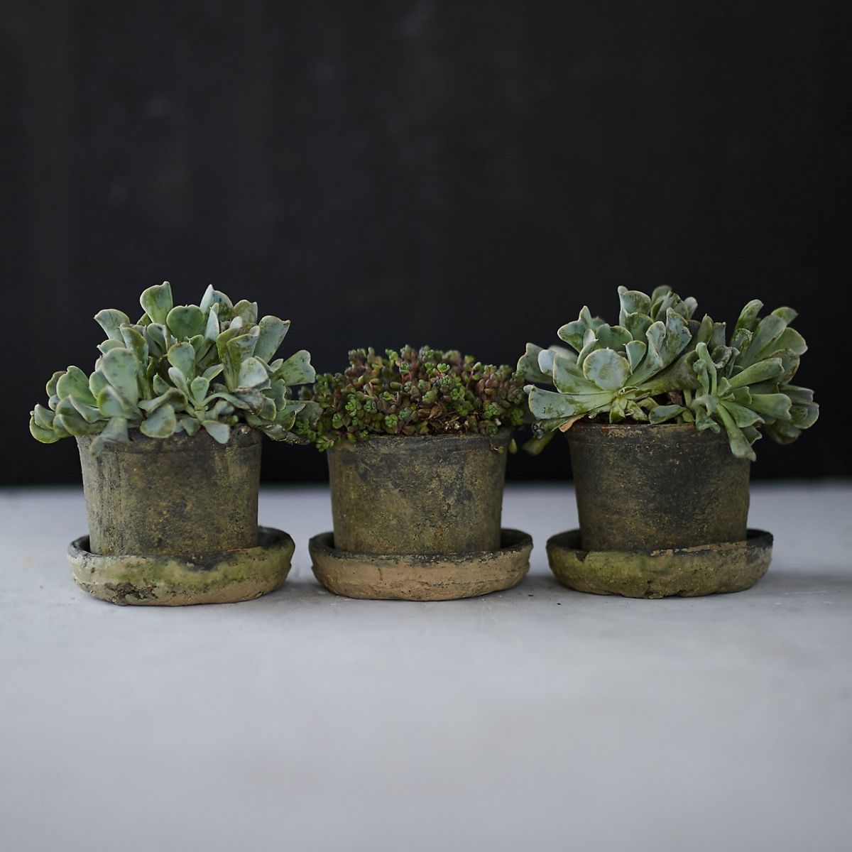 The Gifts for Gardeners Option: Earth Fired Clay Low Sill Pot + Saucer, Set of 3