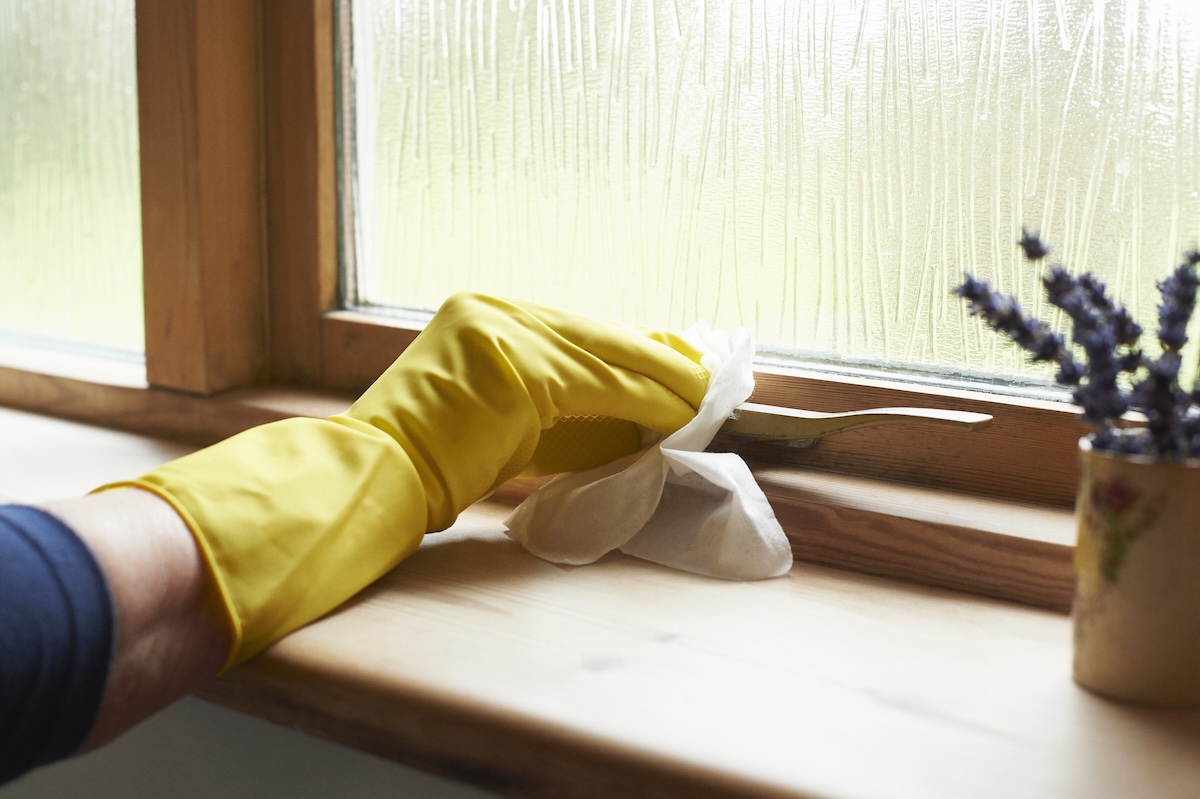 Wiping down the window sill with yellow rubber gloves on and a potted plant nearby.