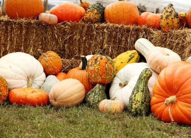 9 Ways to Decorate with Pumpkins, Indoors and Out