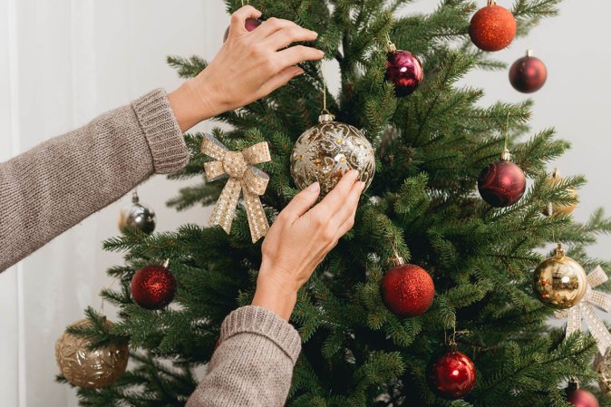 The Best Places to Buy Christmas Trees Options