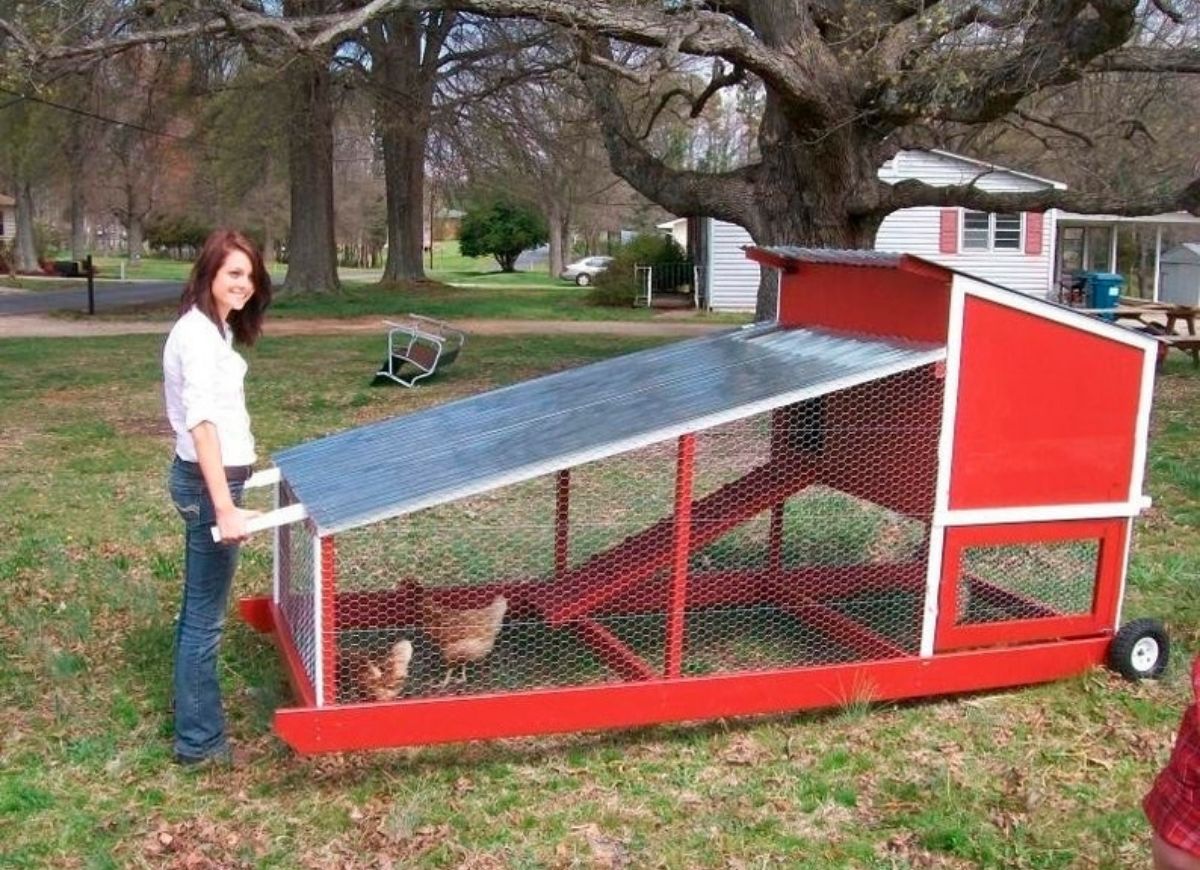 Woman standing next to a moveable red chicken coop.