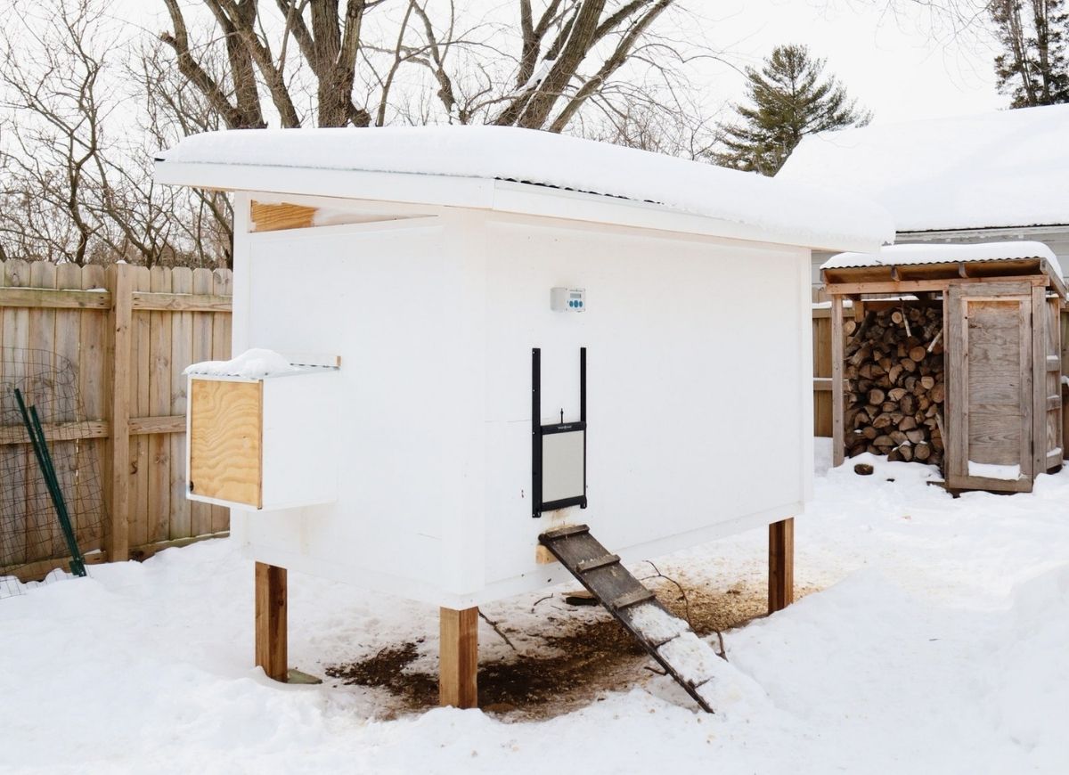 chicken coop plans