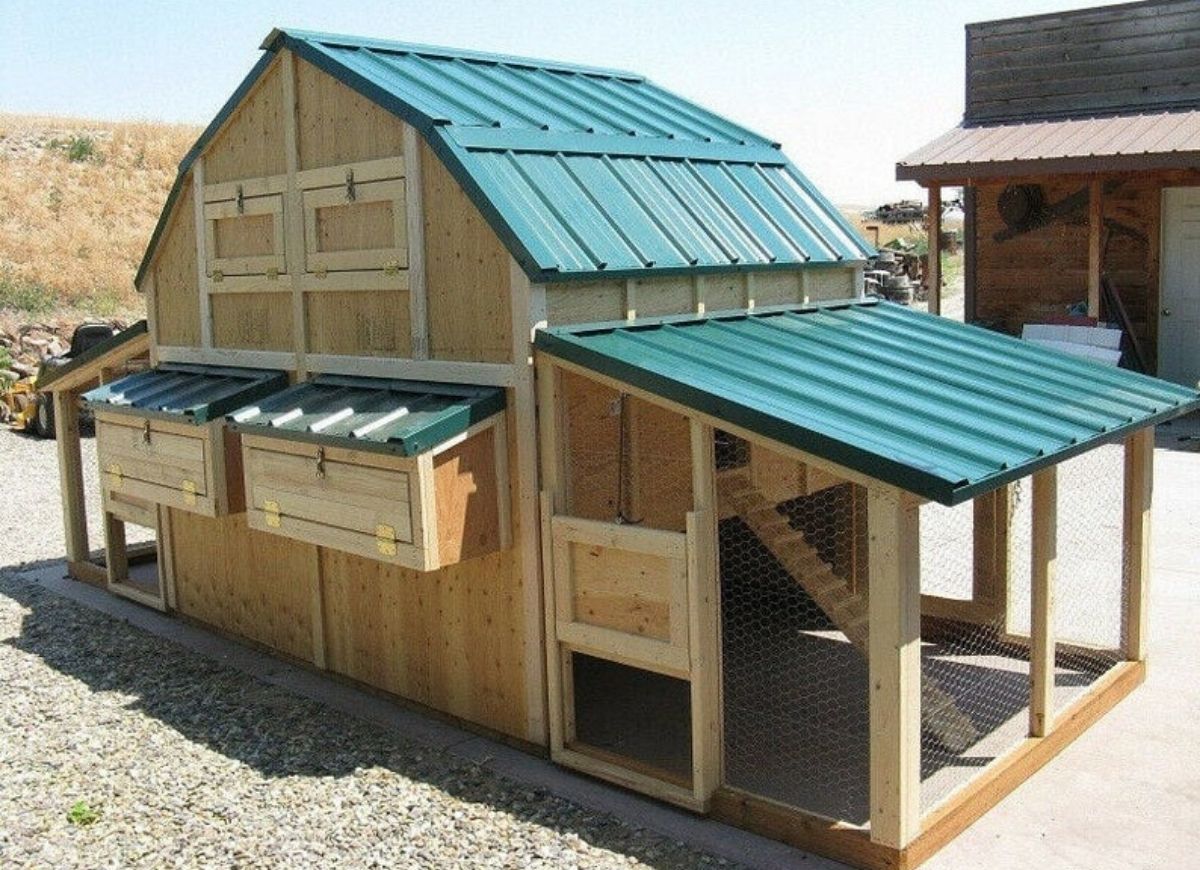 chicken coop plans