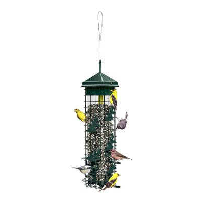 The Best Bird Feeder Option: Brome Squirrel Solution200 Squirrel-proof Bird Feeder