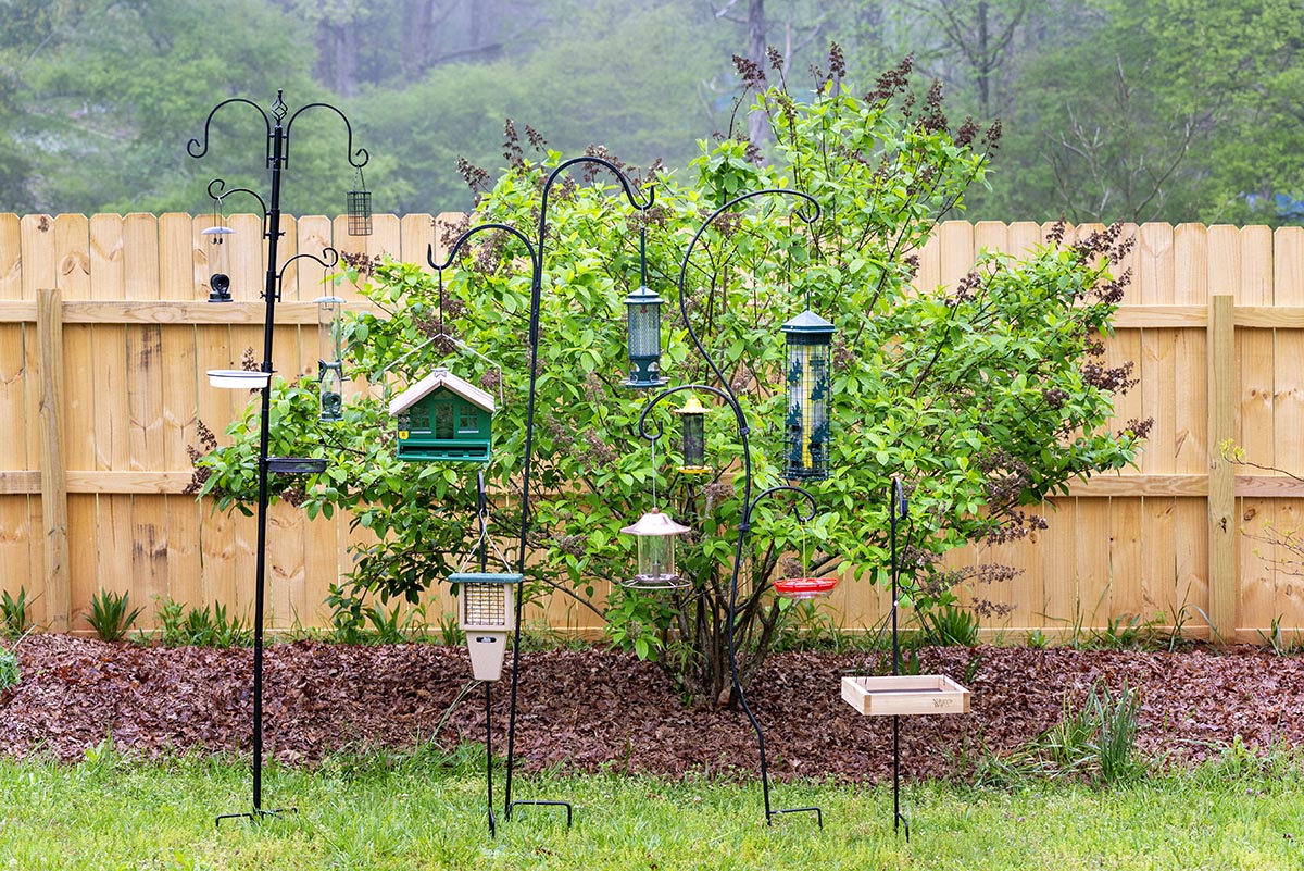 The Best Bird Feeder Options