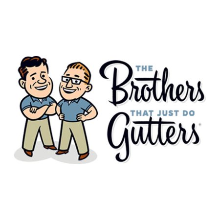  The Best Gutter Cleaning Service Option; The Brothers That Just Do Gutters