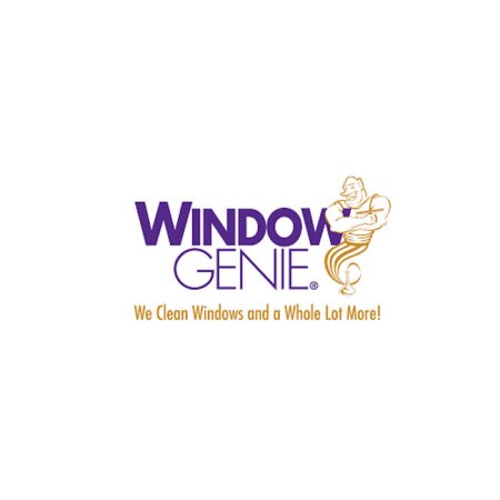  The Best Gutter Cleaning Service Option: Window Genie