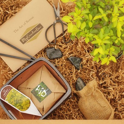 The Best Plant Subscription Boxes Option: My Garden Box