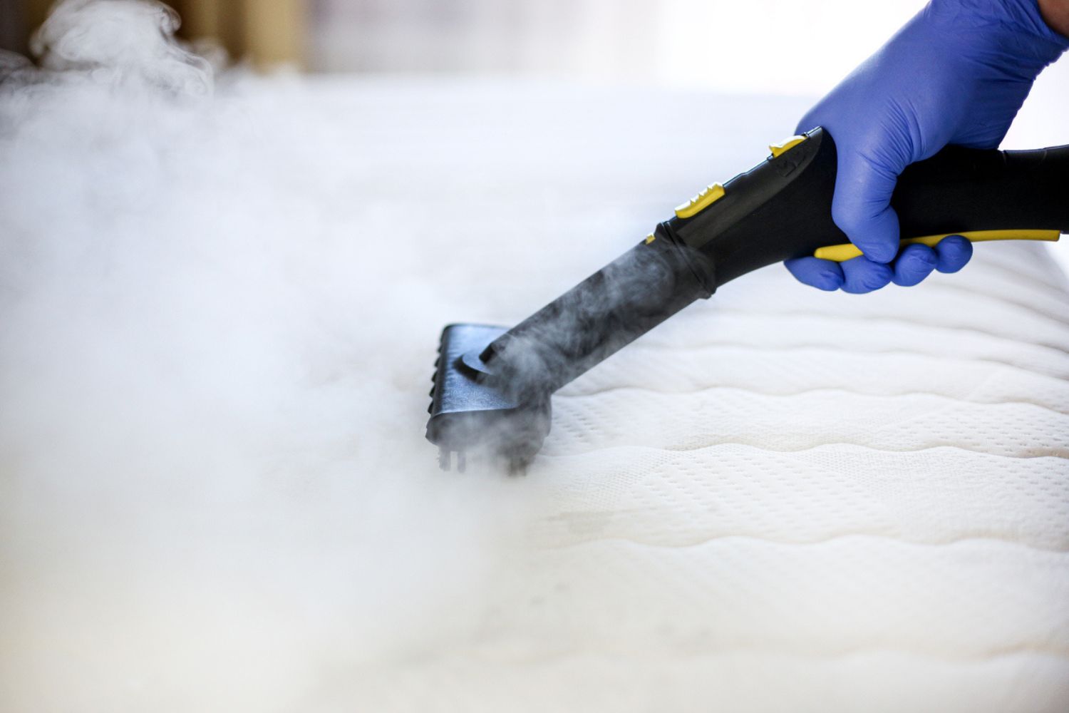 The Best Steamers for Bed Bugs - Picks from Bob Vila