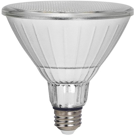  best outdoor light bulbs option: Geeni LUX Smart Floodlight