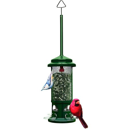  Best Bird Feeders Options: Squirrel Buster Standard